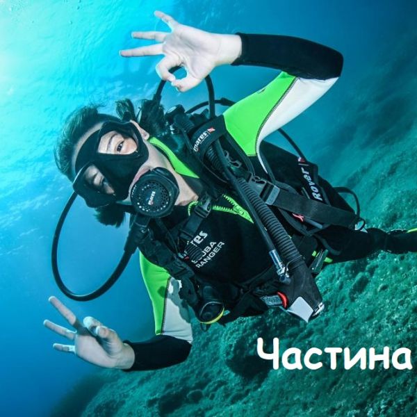 Які курси доступні для моєї дитини?
