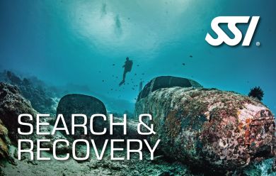 Пошук і відновлення - SSI Search & Recovery